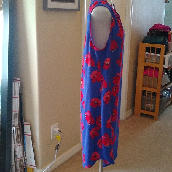 Market and Spruce Jeanie Ruffle Blue Red Poppy Sleeveless Mini Dress Size Medium - Picture 3 of 9